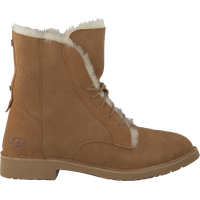 Ugg boots PNG