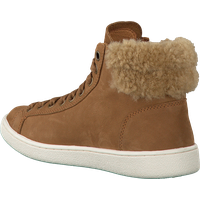 Ugg boots PNG