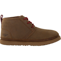 Ugg boots PNG