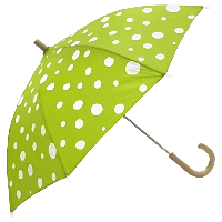 Umbrella Png Image PNG Image