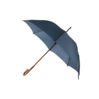 Umbrella PNG Image