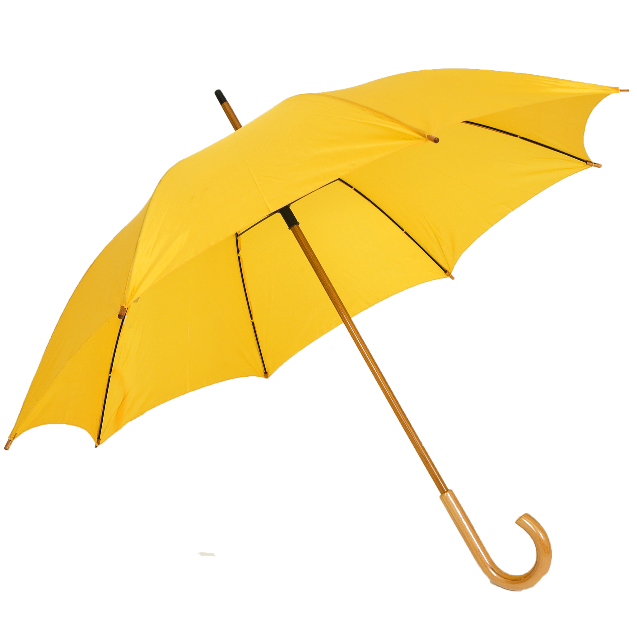 Umbrella Png PNG Image