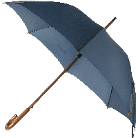 Umbrella Png Image PNG Image