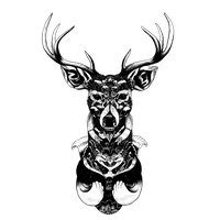 Dreamcatcher Illustrator Drawing Artist Free HQ Image