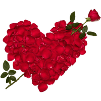 Rose Valentines Love Day Download Free Image PNG Image