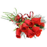 Rose Valentines Pic Day HD Image Free PNG Image