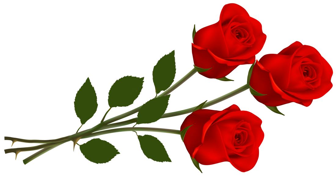 Rose Valentines Day PNG Free Photo PNG Image