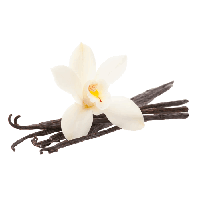 Vanilla Bean Free Download PNG Image