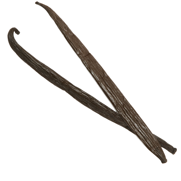 Vanilla Bean PNG Image