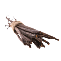 Vanilla Bean Transparent PNG Image