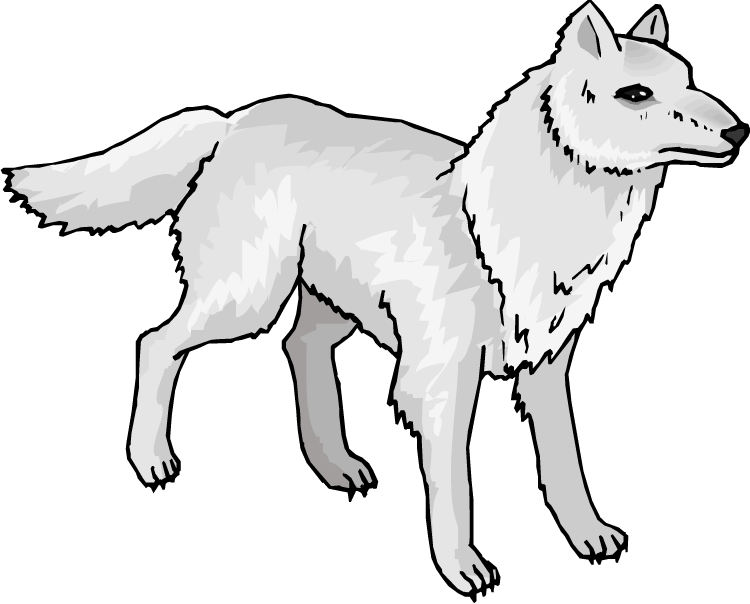 White Vector Fox Arctic HD Image Free PNG Image