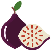 Vector Fig PNG Download Free PNG