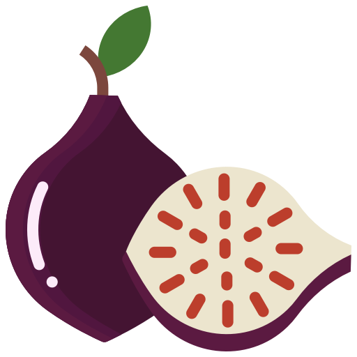 Vector Fig PNG Download Free PNG Image
