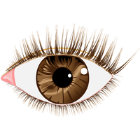 Eyes Vector Free Transparent Image HQ PNG
