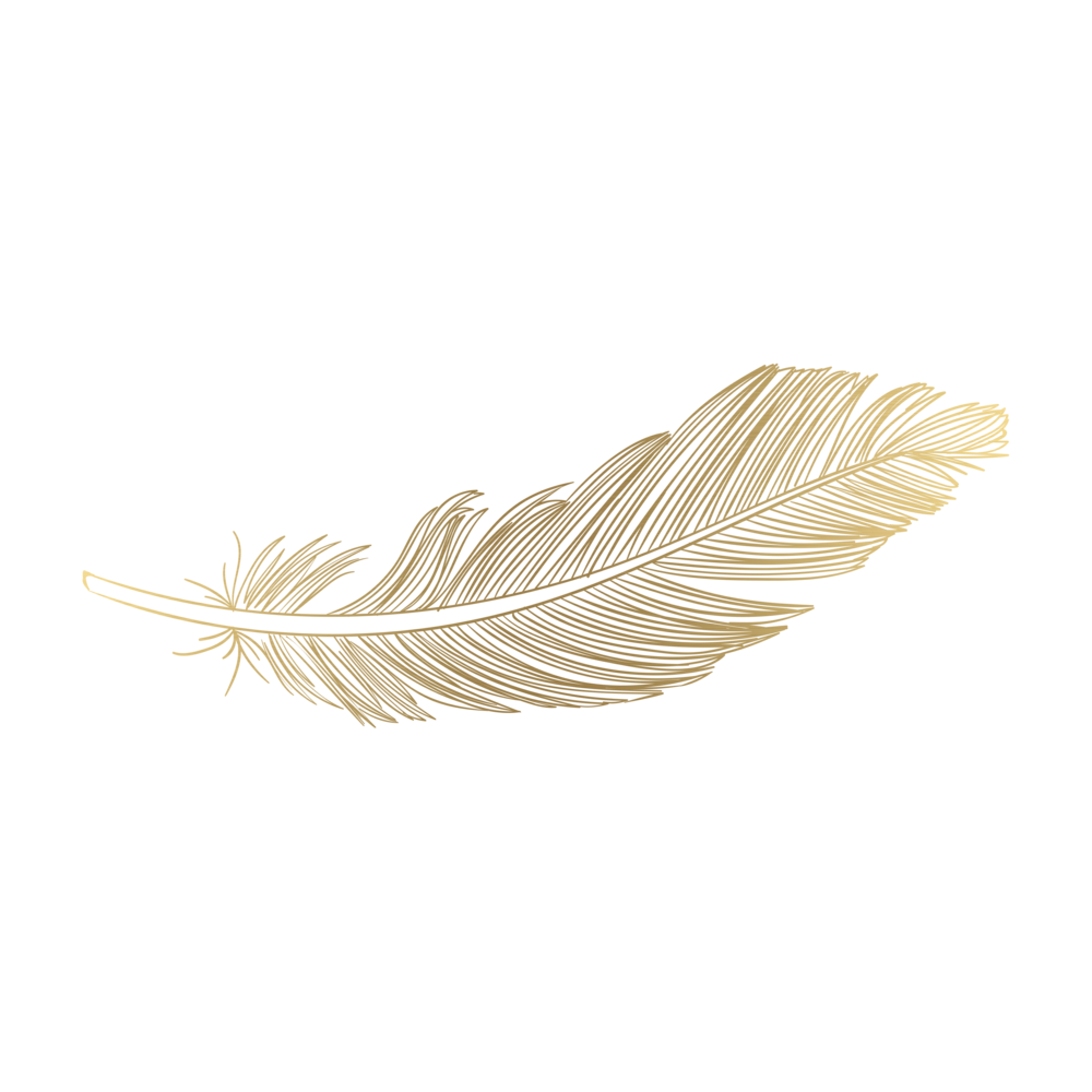Feather Vector Free HD Image PNG Image