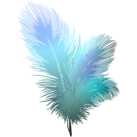 Feather Vector Free Download Image Transparent PNG Image