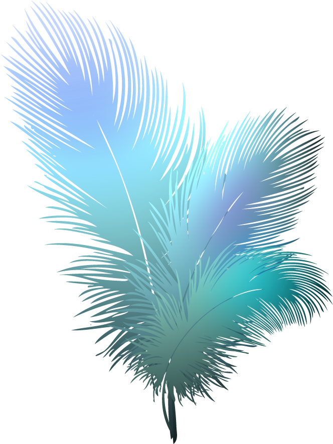 Feather Vector Free Download Image PNG Image