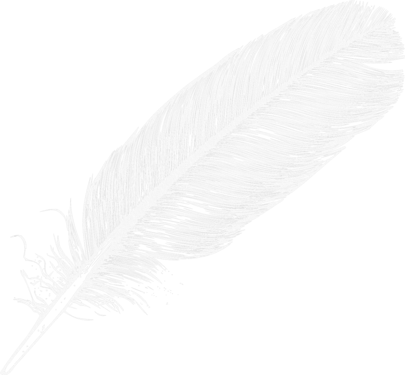 Feather Vector Free Clipart HD PNG Image