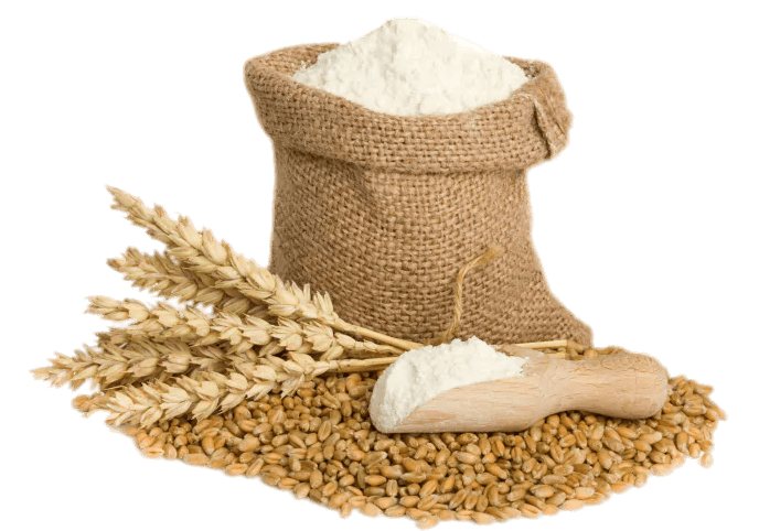 Flour Vector Wheat PNG File HD PNG Image