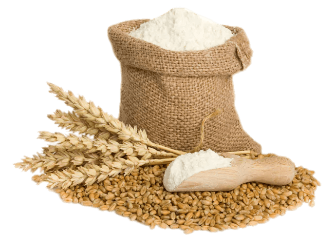 Flour Vector Wheat PNG File HD Transparent PNG Image