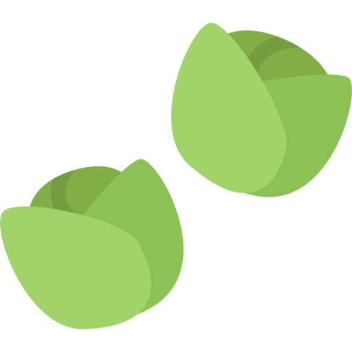 Sprouts Vector Brussels Download Free Image PNG Image