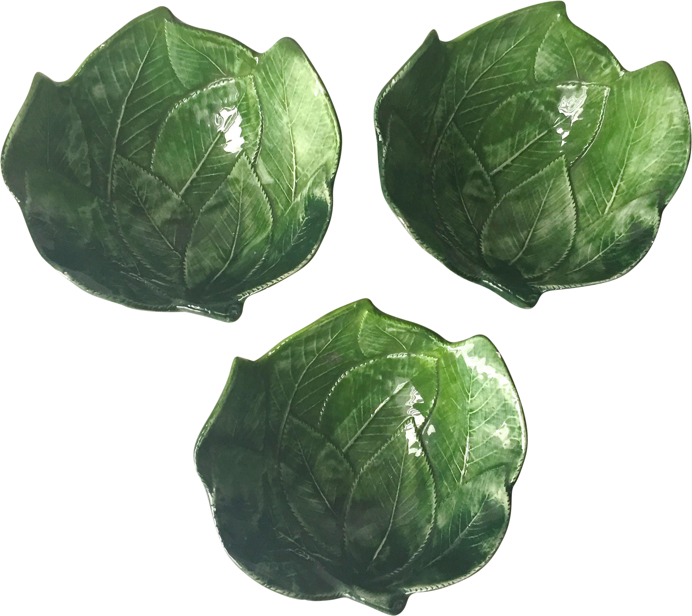 Sprouts Vector Brussels Photos Free Transparent Image HQ PNG Image
