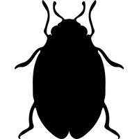 Vector Bug Bed Download HD PNG