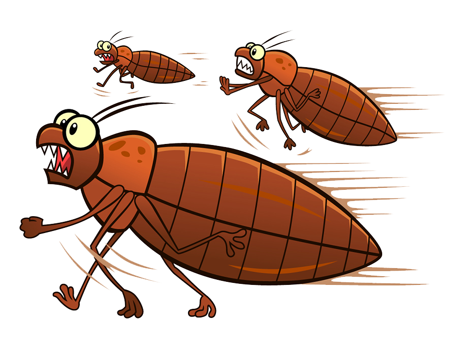 Vector Bug Bed Free Clipart HD PNG Image