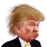 Funny Vector Portrait Free Photo PNG