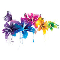 Vector Photos PNG
