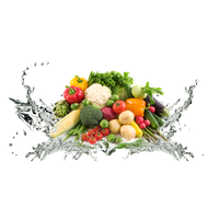 Vegetable Transparent Background PNG