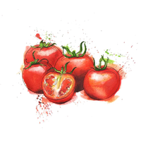 Download Vegetable Free PNG photo images and clipart | FreePNGImg