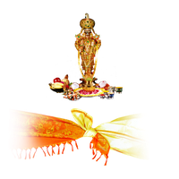 Venkateswara PNG Image