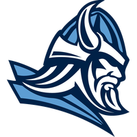 Viking head PNG