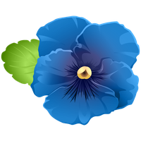 Viola Transparent PNG Image