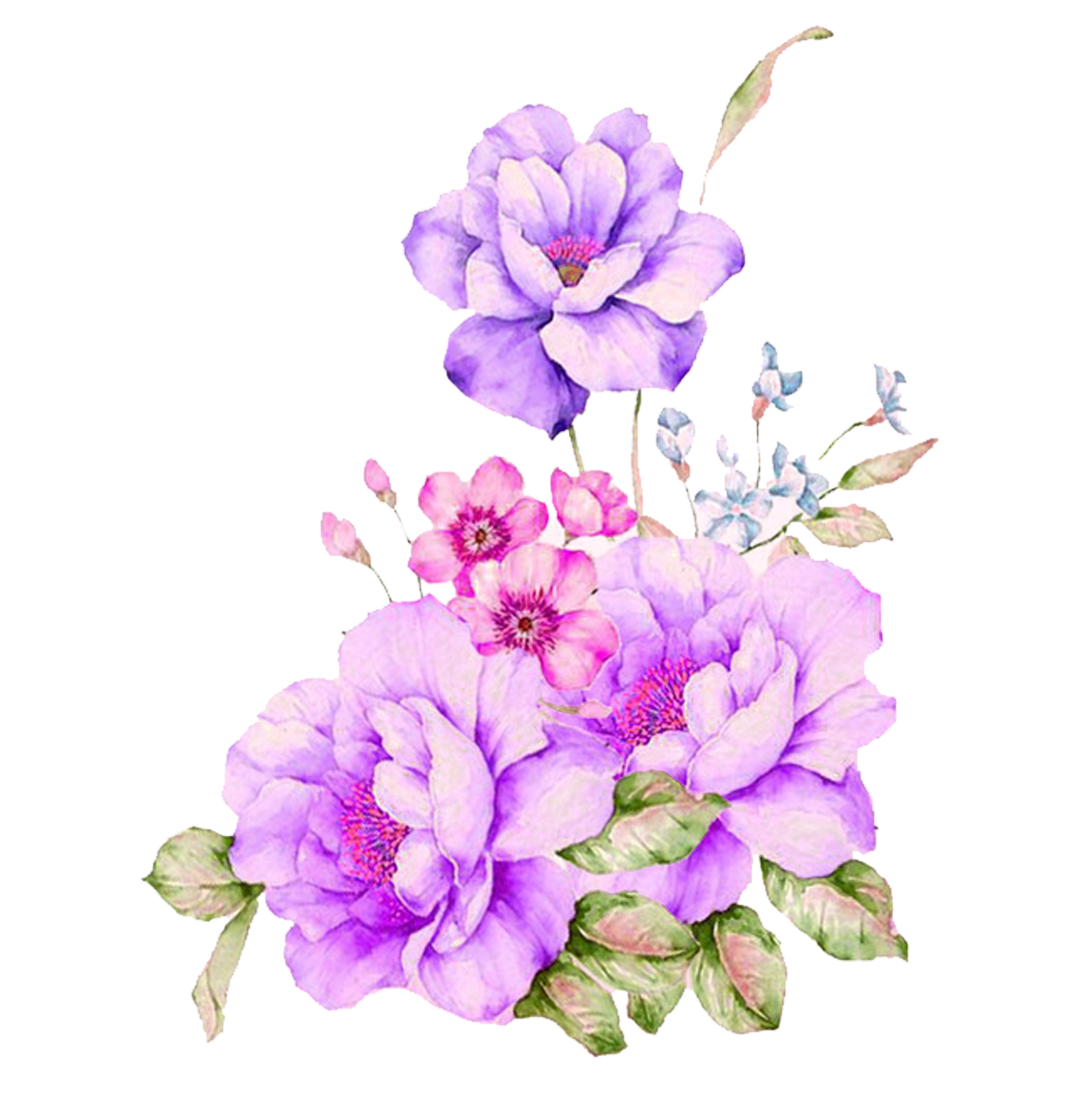 download-plant-flower-watercolour-watercolor-flowers-painting-hq-png