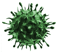 Virus Png Clipart PNG Image