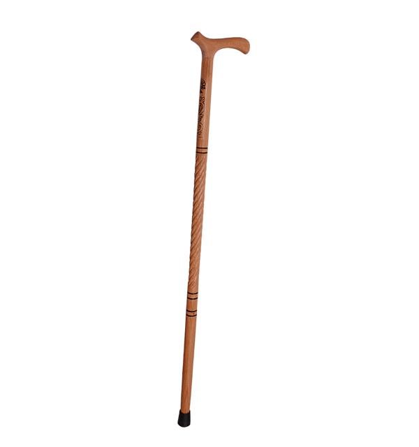 Walking stick Transparent PNG Image