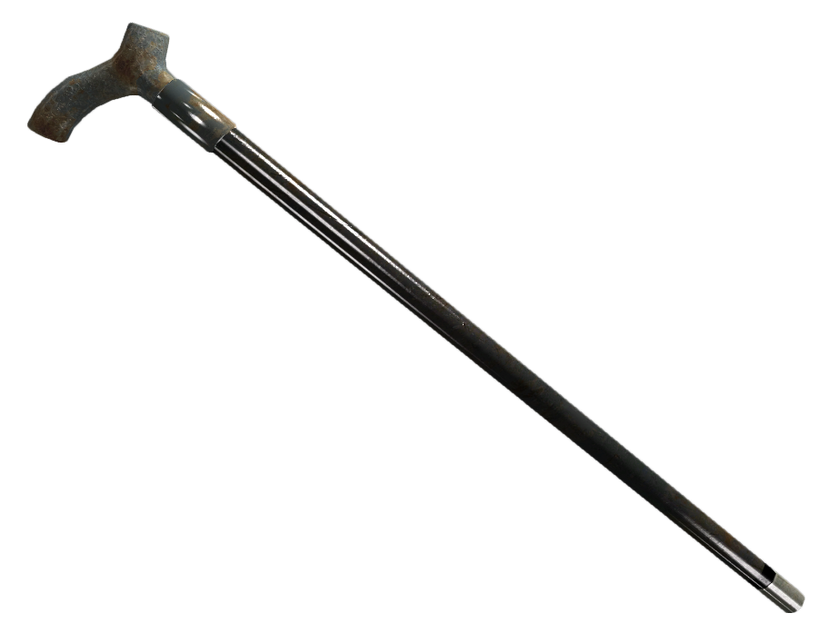 Walking stick Transparent PNG Image