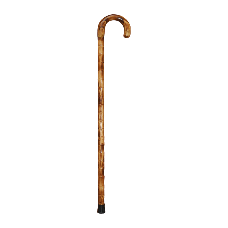 Walking stick Transparent PNG Image