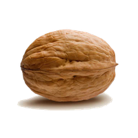 Walnut Png PNG