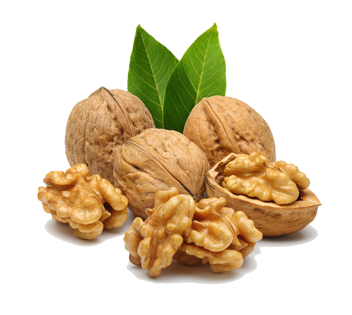 Walnut Picture PNG Image