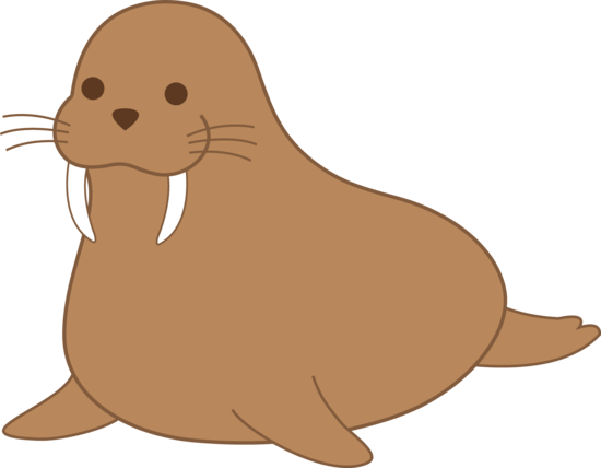Walrus Transparent PNG Image
