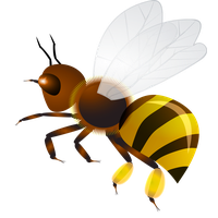 Wasp PNG