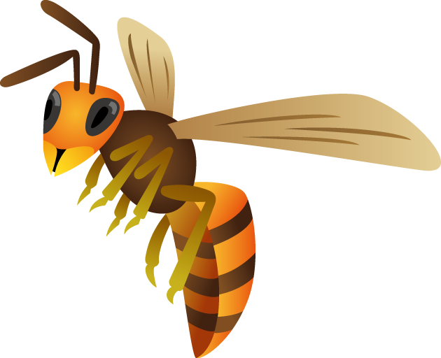 Wasp Transparent PNG Image
