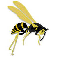 Wasp PNG