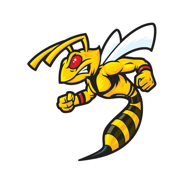 Wasp Transparent PNG Image