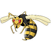 Wasp PNG