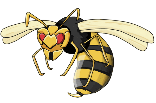 Wasp Transparent PNG Image