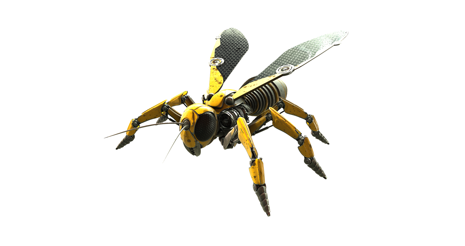 Wasp Transparent PNG Image